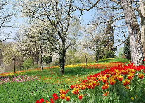 Frühling