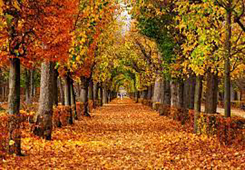 Herbst